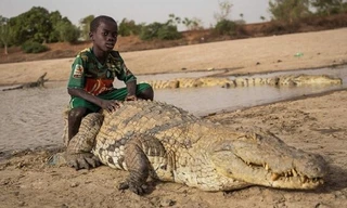 Nơi người và cá sấu có kết nối huyền bí