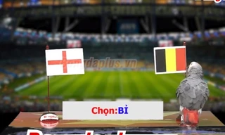 Clip dự đoán trận Anh - Bỉ: 3/4 “tiên tri” động vật chọn Bỉ thắng