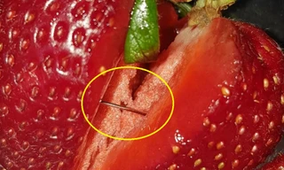 Bê bối găm kim khâu vào dâu tây: Động cơ không ngờ của nghi phạm