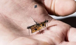 Robot côn trùng chạy bằng laser cất cánh