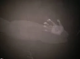 Những dấu bàn tay ám ảnh ở chung cư Carina 20 ngày sau thảm họa