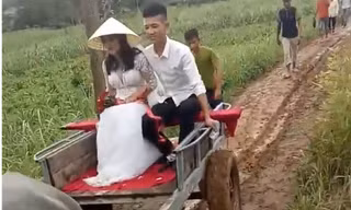 Nghệ An: Chuyện chưa biết về đám cưới chú rể đón dâu bằng xe trâu