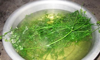 Vì sao cuối năm tắm lá nước mùi già?