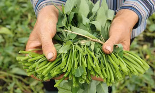 Những thực phẩm quen thuộc có nguy cơ nhiễm chì cao nhất