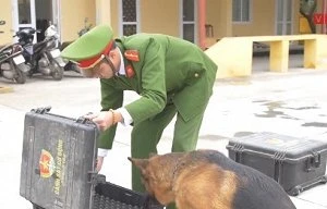 Xem 'chiến binh 4 chân' của công an Thủ đô hít vali tìm thuốc nổ