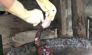 Phát hiện cơ sở ở Nghệ An dùng nhựa thông, hàn the sơ chế vịt