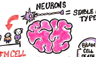 Mất ngủ, hút thuốc, uống rượu... phá hủy não bộ thế nào?