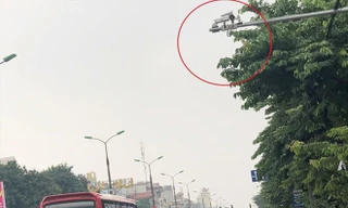 'Vũ khí công nghệ' giúp dẹp loạn xe khách vi phạm