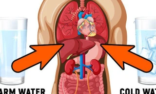 Nước ấm hay nước lạnh mới thực sự tốt cho cơ thể?