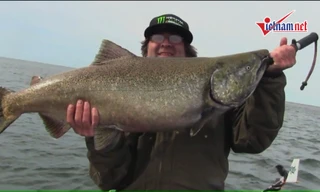 Cần thủ Mỹ câu được cá hồi vua to như quái vật