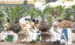 Vạn tuế bonsai hút khách ở Hà Nội dịp Tết