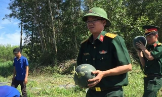 Nghỉ lễ, bộ đội ra ruộng dưa giúp dân