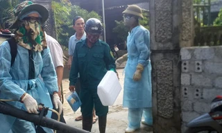 Bùng phát dịch sốt xuất huyết tại Nghệ An