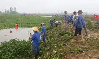 Tuổi trẻ Nghệ An “đội mưa” nạo vét kênh mương sau lũ