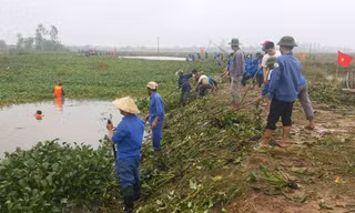Tuổi trẻ Nghệ An “đội mưa” nạo vét kênh mương sau lũ