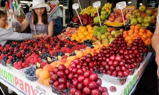 Cherry 'siêu đắt' tại Việt Nam là cây dại ở nước ngoài?