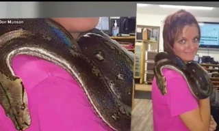 Laura Hurst. Ảnh: Insider