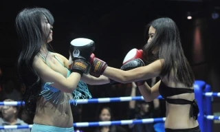 Tròn mắt trước dàn mỹ nữ diện bikini đấm bốc