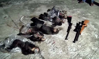 Tang vật vụ săn bắn động vật hoang dã