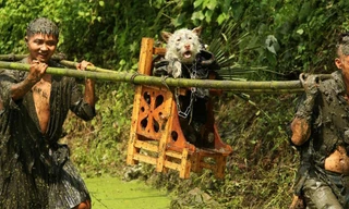 Lạ lẫm lễ hội người rước chó ngồi kiệu như ông hoàng