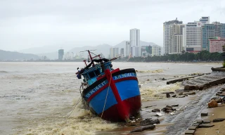 Lũ về, bờ biển Nha Trang đầy củi rác như bãi hoang