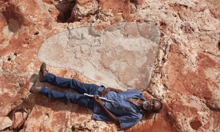 Dấu chân khủng long vừa được phát hiện có chiều dài gần 2m.