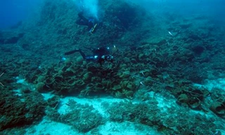 Tìm thấy 22 xác tàu trăm, ngàn tuổi trong 2 tuần 