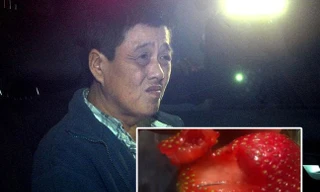 Người phụ nữ gốc Việt cắm kim vào dâu tây ở Úc nghi vì thù sếp