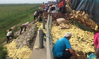 Xe chở 10.000 gà con bị lật, dân thi nhau ‘hôi của’