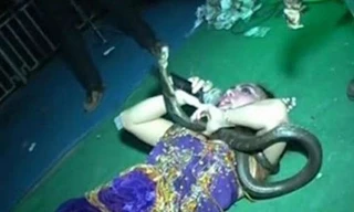 Irma Blue trong một màn trình diễn với rắn.