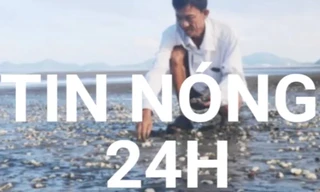 Tin nóng 24H: Hoang mang nghêu, cá ở Kiên Giang chết hàng loạt