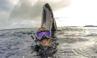 Bức ảnh Will chụp cùng cá voi gây "sốt".