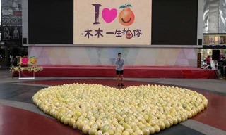 Chàng trai bị từ chối dù cầu hôn bằng 999 quả bưởi