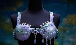 Nhìn gần chiếc áo lót làm từ 223 viên đá quý