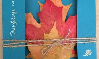 Trai trẻ kiếm bộn tiền nhờ bán… lá vàng rơi