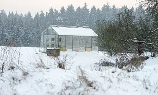 Khu vườn trong nhà người bạn thân, nơi vị bác sĩ giấu tên chôn số tài sản trị giá 1,7 triệu Euro.