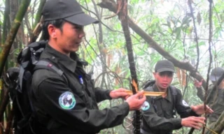 Công tác tuần tra, bảo vệ rừng của lực lượng kiểm lâm, biên phòng luôn đối mặt hiểm nguy tại Khu bảo tồn Sao la, TT-Huế, đặc biệt là vào mùa mưa lũ.