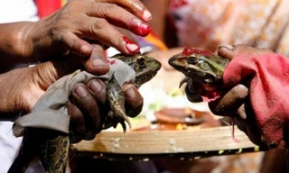 Ảnh minh hoạ: ANI