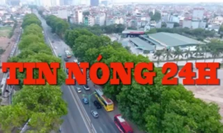 Tin nóng 24H: Chặt hạ, di chuyển 1300 cây xanh 'mới chỉ là đề xuất'
