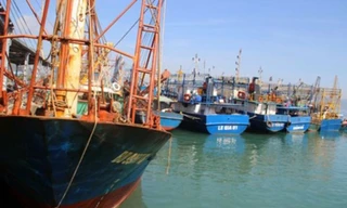 Mới nhất vụ tàu vỏ thép hư hỏng nằm bờ