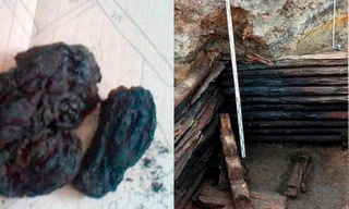 Khai quật tàn tích nhà cháy, phát hiện củ cải nướng 400 năm tuổi