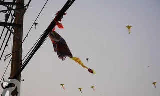 Gỡ diều trên dây điện, cô giáo mầm non chết thương tâm