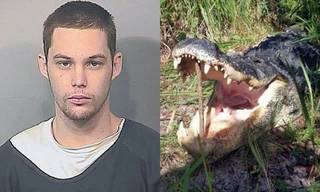 Trốn cảnh sát trong bụi rậm, tên trộm xấu số bị cá sấu ăn thịt 