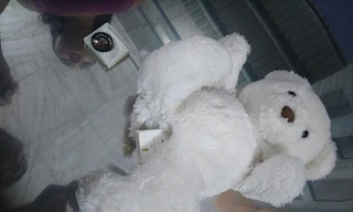 Chíp điện tử Trung Quốc bên trong thú nhồi bông 