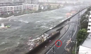 Bão Jebi đổ bộ Nhật Bản: Sóng cuộn đục ngầu, người dân vô tư đi lại