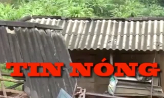 Tin nóng 24H: Đâm chết bạn thân vì bị chê không biết tán gái