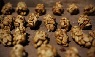 Phân cầy hương chứa những hạt cà phê bị tiêu hoá một nửa. 