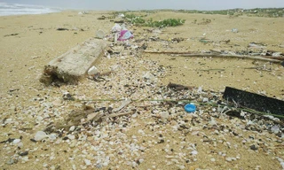 Xuất hiện dầu vón cục dọc 7 km bờ biển ở Quảng Nam