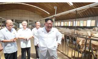Ông Kim Jong-un giản dị thăm hồ cá, trại gia súc