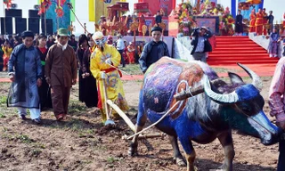 10 lễ hội đầu xuân không thể bỏ qua tại miền Bắc